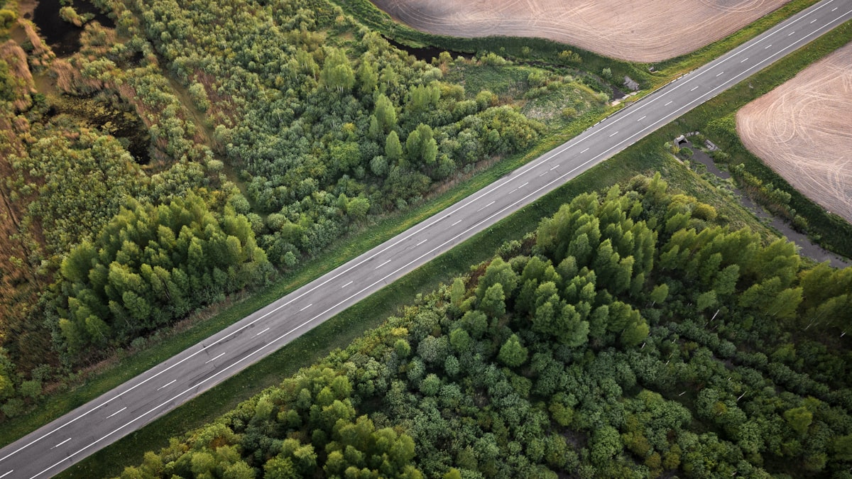 A finished two-lane asphalt road running through Lowcountry fields, built and paved as a commercial sitework project